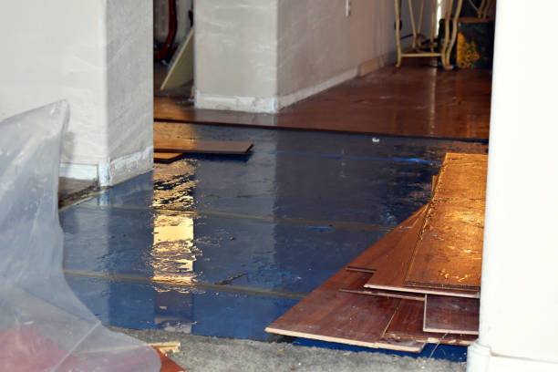 Professional Burst Pipe Cleanup technician working in Brentwood, NY